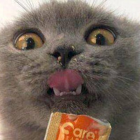 萌宠 篇四：传说中猫咪最爱的零食，我忍不住吃了一口