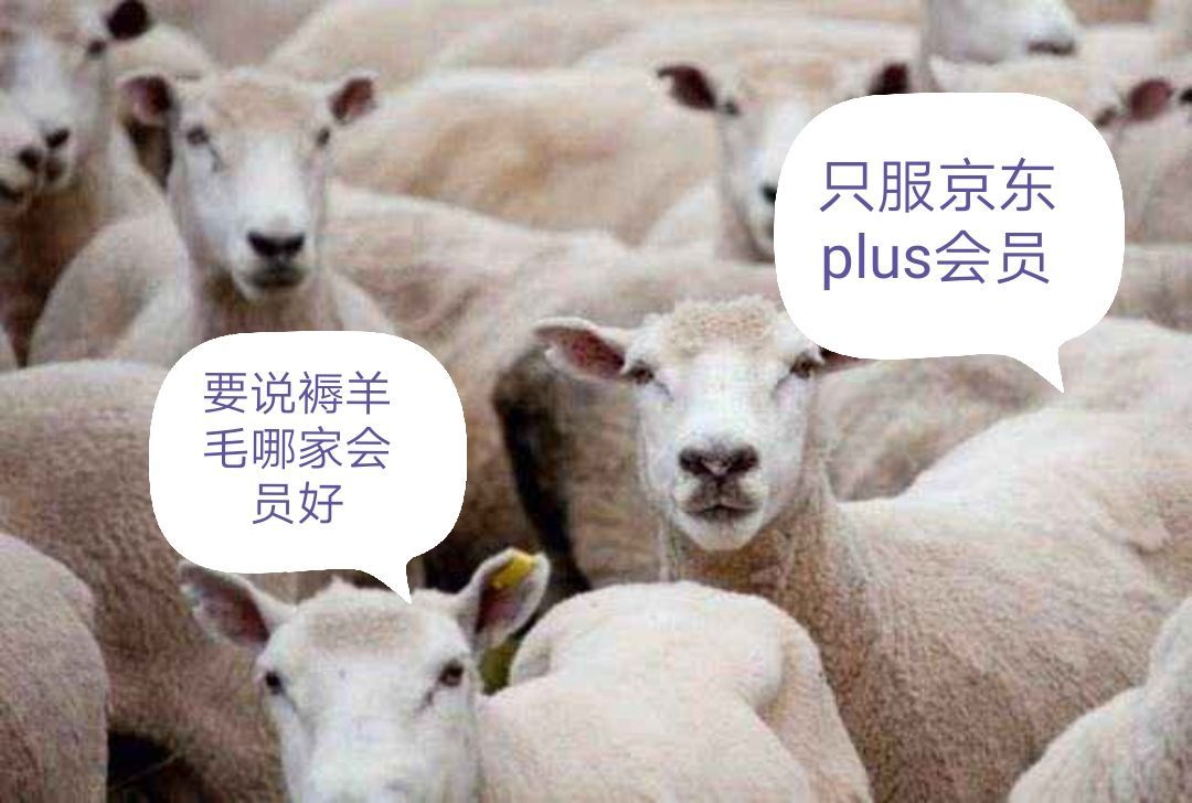 一篇文章帮你解读京东PLUS会员专享权益、高性价比购买方式和羊毛福利