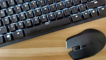 Razer办公风——黑寡妇蜘蛛轻装版+刺鳞树蝰评测 