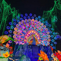 自在自贡 篇二：迎新春观赏彩灯哪里最值得去？第二十五届自贡国际恐龙灯会不可错过