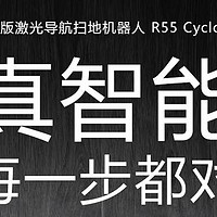 小狗 Puppy  一款让人后悔的扫地机器人R55使用报告附带总结