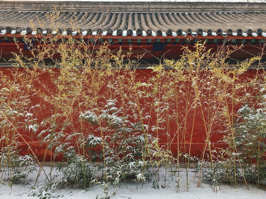 不用单反也能拍出好看的雪景 手机雪景拍摄入门技巧分享