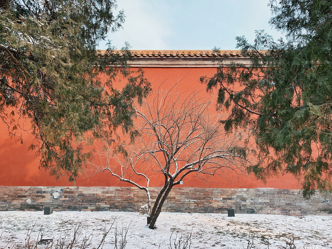 不用单反也能拍出好看的雪景 手机雪景拍摄入门技巧分享