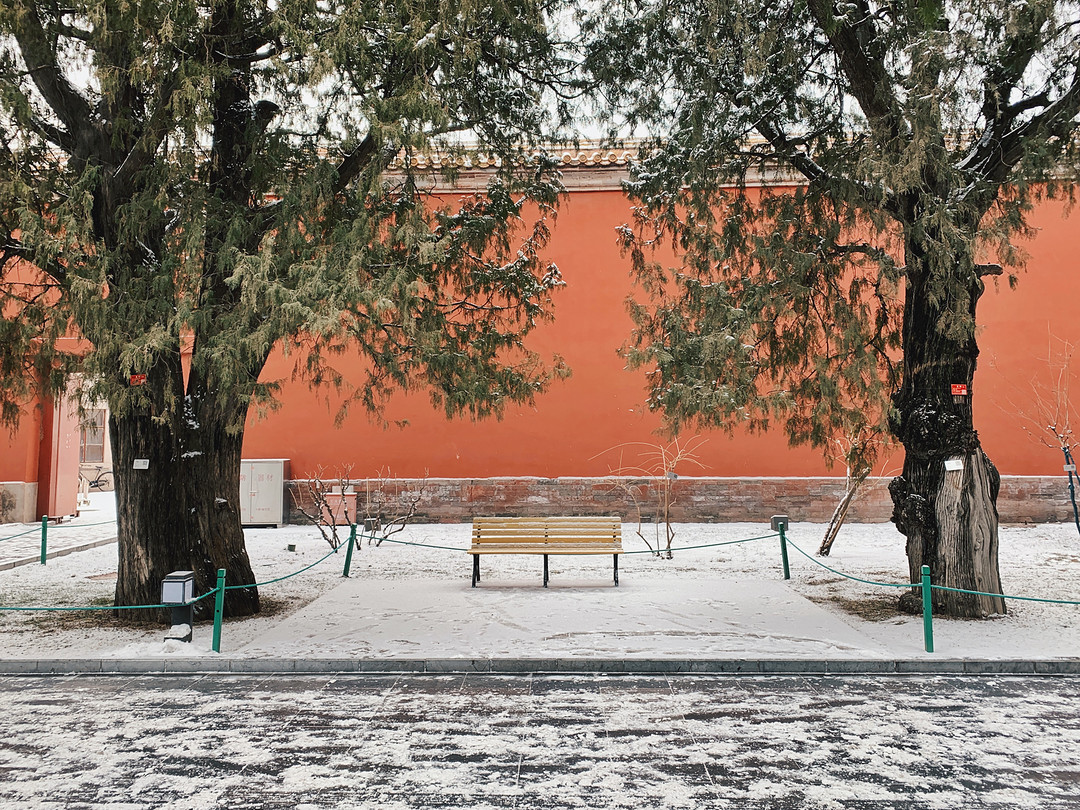 不用单反也能拍出好看的雪景 手机雪景拍摄入门技巧分享