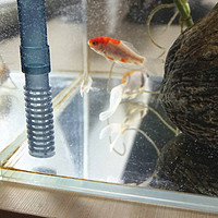 为小鱼们按一个舒适的家—森森佳璐挂壁式水循环过滤泵开箱使用