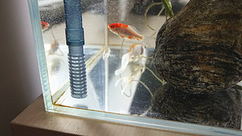 为小鱼们按一个舒适的家—森森佳璐挂壁式水循环过滤泵开箱使用