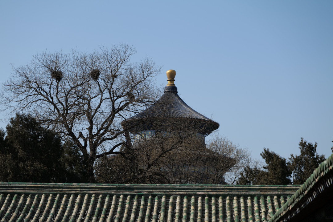 全幅无反相机参数之王到底香不香? 松下S1R实拍体验(附比基尼人像样张)