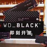 支持游戏一键加速：Western Digital 西部数据 推出 WD Black SN750 NVMe 固态硬盘