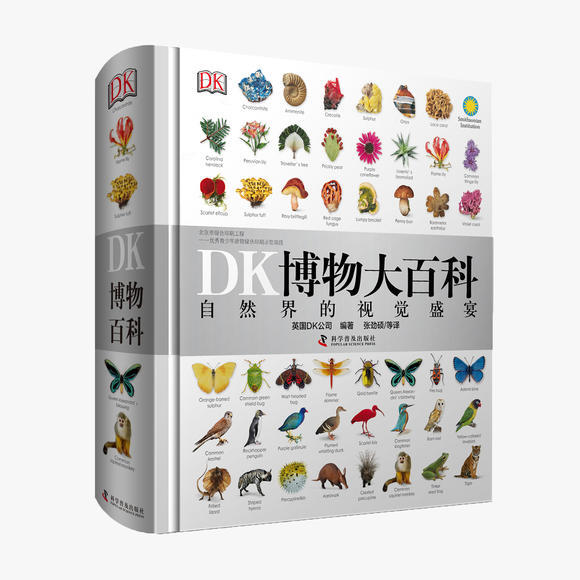 从百科全书到乐高搭建，DK最值得买的好书就是这五本 | 企鹅爸爸