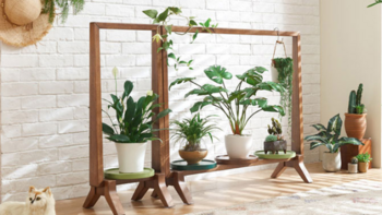 为家打造天然氧吧：林氏木业 推出 全实木室内落地式盆栽架