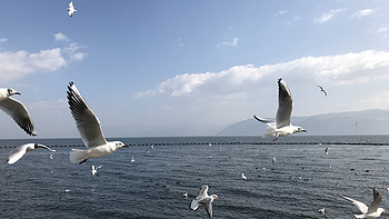 每日一景点 篇一百八十：懒人游大理全攻略，含隐藏副本，景色美到让旅游小编转圈圈 