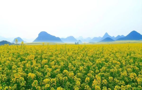 一座颇具唐宋风的竹木民宿，占地3000㎡！莫干西楼度假酒店1晚套餐