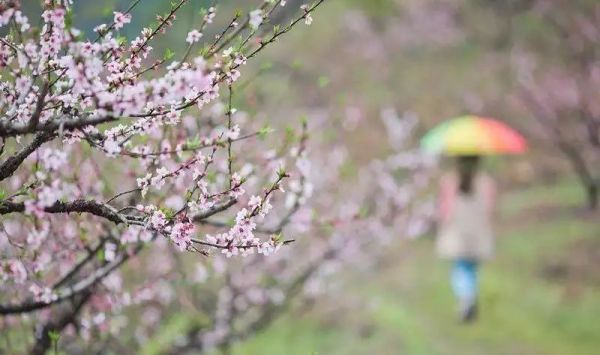 一座颇具唐宋风的竹木民宿，占地3000㎡！莫干西楼度假酒店1晚套餐