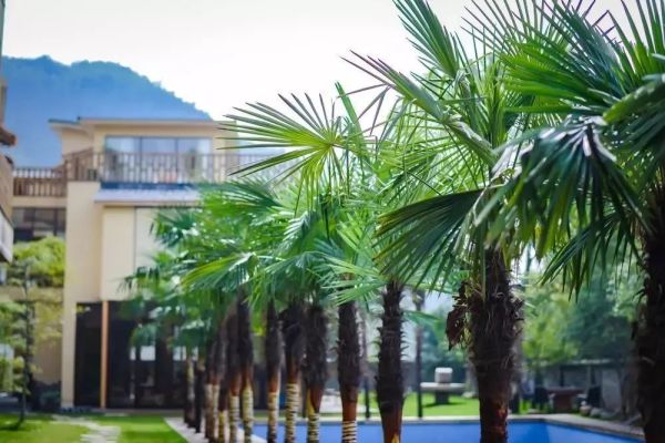 一座颇具唐宋风的竹木民宿,占地3000㎡!莫干西楼度假酒店1晚套餐