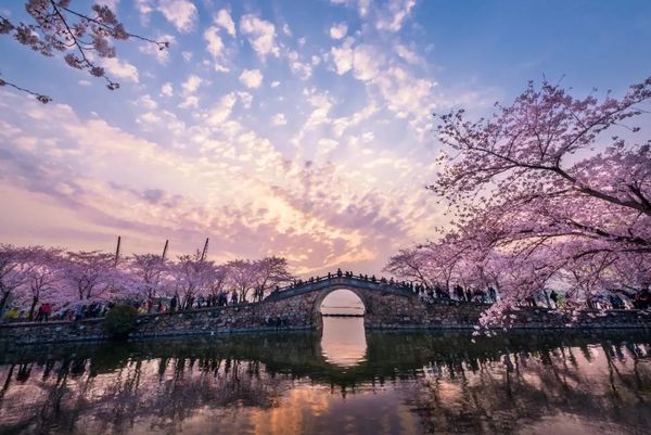 背靠鼋头渚樱花海，畅游动物园探险之旅！无锡太湖新泽假日酒店1晚度假套餐