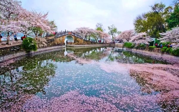 假日高性价比之选，1.2万㎡花园酒店，赠蠡园门票+亲子活动