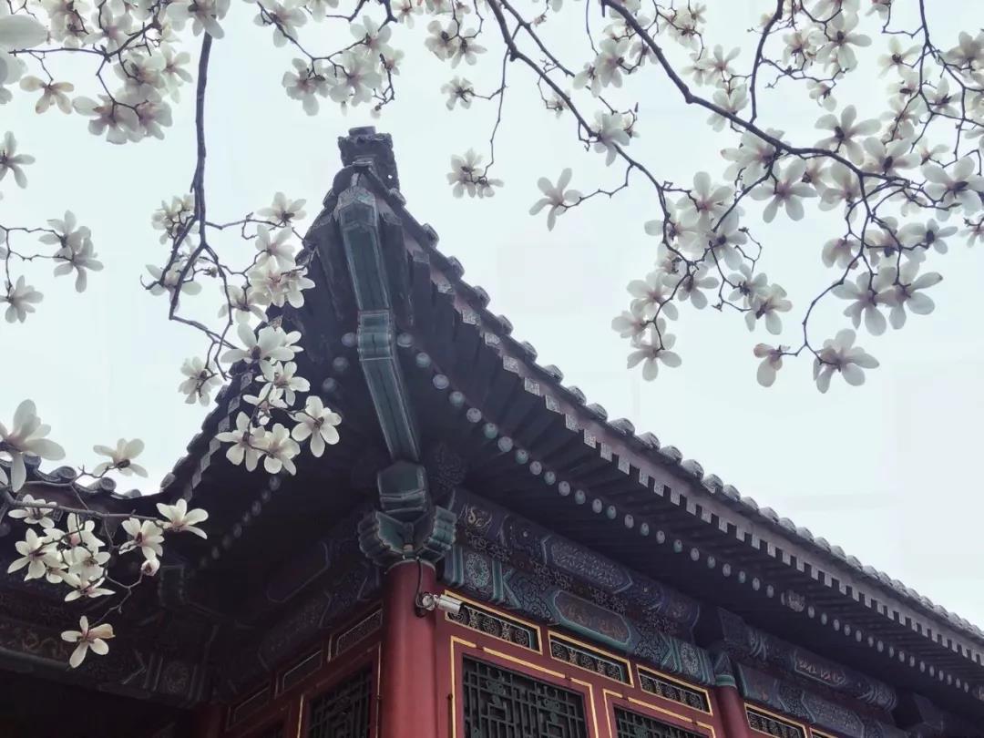 学会改变手机摄影角度的小技巧,让你的照片焕然一新