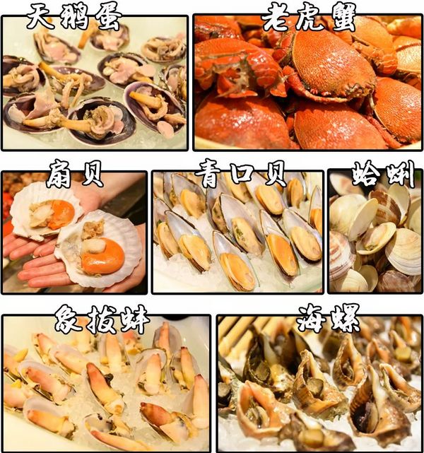 深夜食堂：安格斯牛排、10种海鲜刺身畅吃！上海虹桥元一希尔顿酒店元餐厅海鲜自助午餐/晚餐