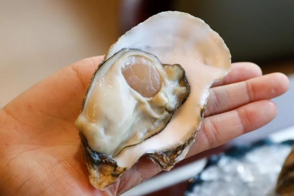 鳌虾畅吃+特供生蚝！杭州索菲特西湖大酒店海鲜主题自助晚餐
