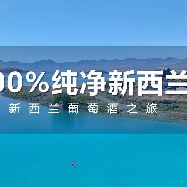 逃离996，新西兰葡萄酒之旅（南岛酒庄篇）