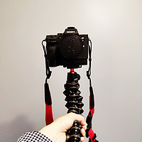 摄影摄像 篇一：JOBY garillapod 3k 八爪鱼三脚架晒单及各类脚架对比
