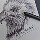  所写即所得， 我画了只老鹰-36记智能手写板综合体验　