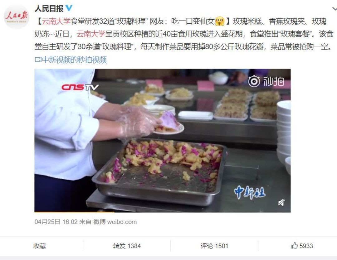 云南大学可不止有玫瑰花