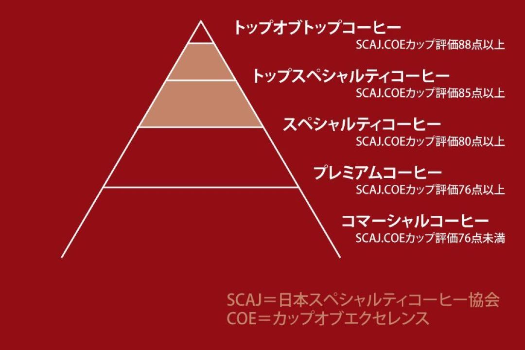 “非精品咖啡”一定都很差?不到80分的豆子都是烂掉的吗?