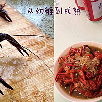 审计师的食堂 篇一：吃虾一条龙，小龙虾买虾、洗虾、做虾指南