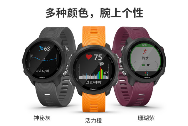 Garmin佳明 Forerunner245 手表