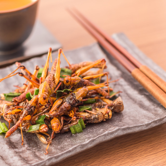 恐怖料理？真香！昆虫吃法大盘点