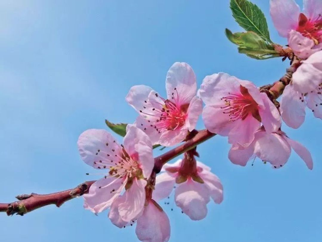 掌握这15种经典构图,你的拍照水准就能瞬间质变(上)