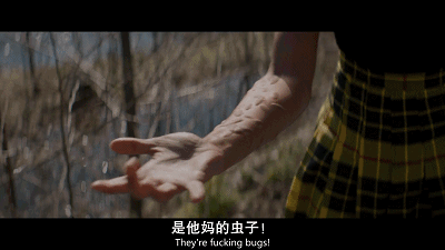 《完美琴仇》：网飞出品，争议巨大的双姝复仇电影