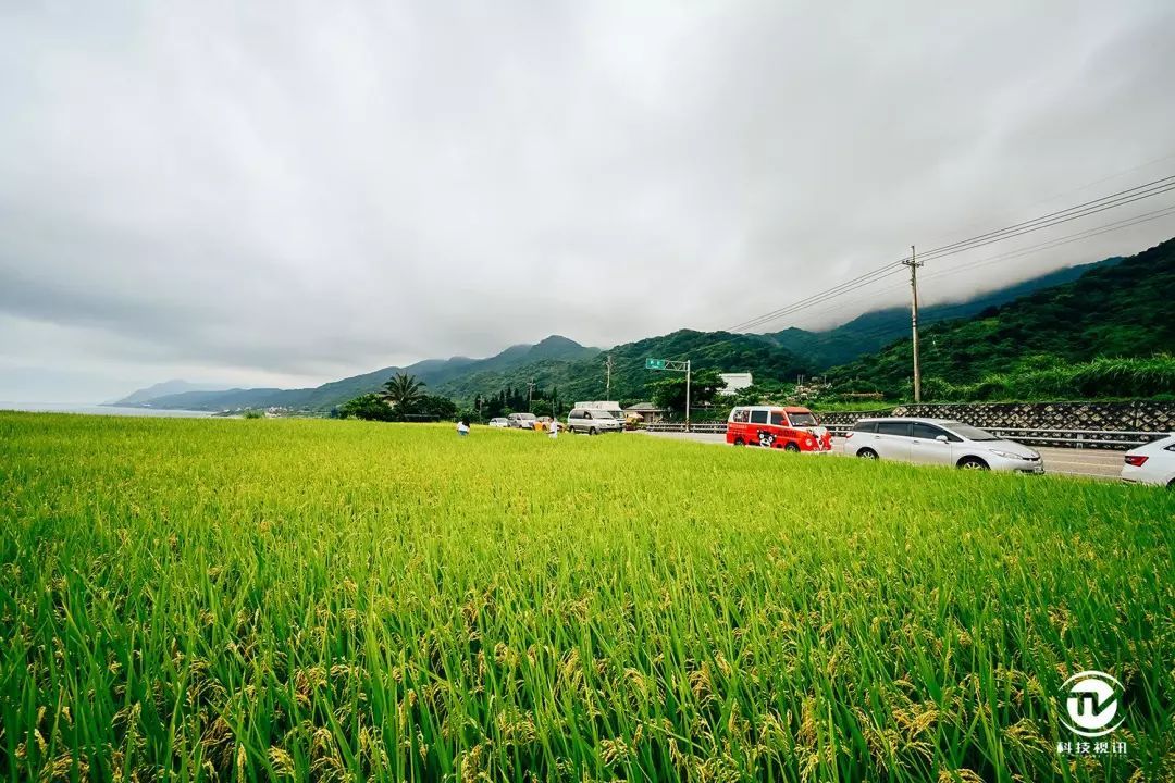 海天蔚蓝 尼康Z7搭载14-30mm f4 台北随拍