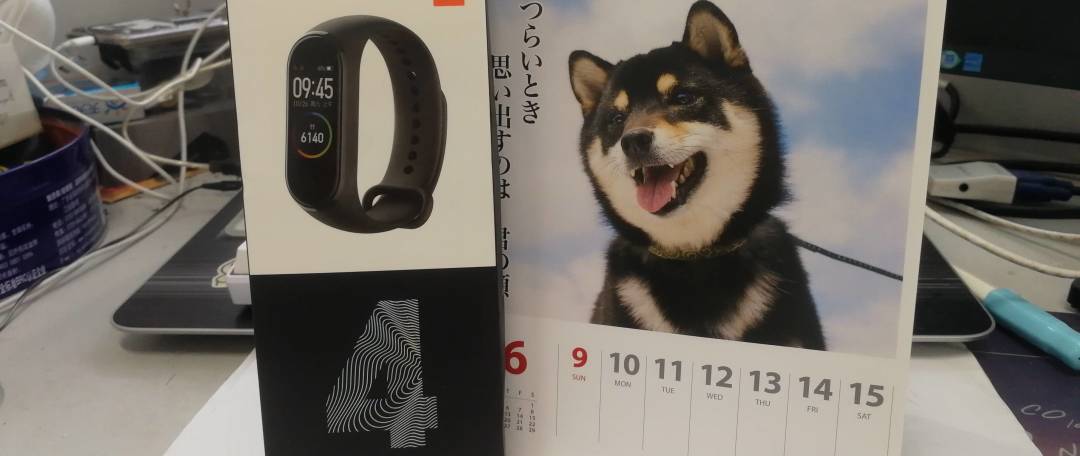 云养柴的新年礼物——2021犬川柳日历