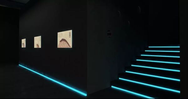 故宫里的海洋世界!深圳《海错图》多媒体综合展