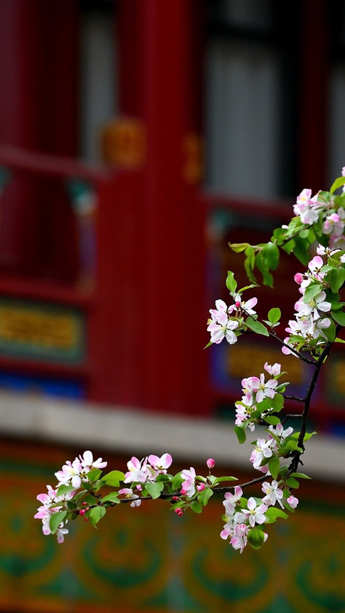 200张精选手机壁纸大放送！教你去哪找超赞壁纸~（多图慎入！）