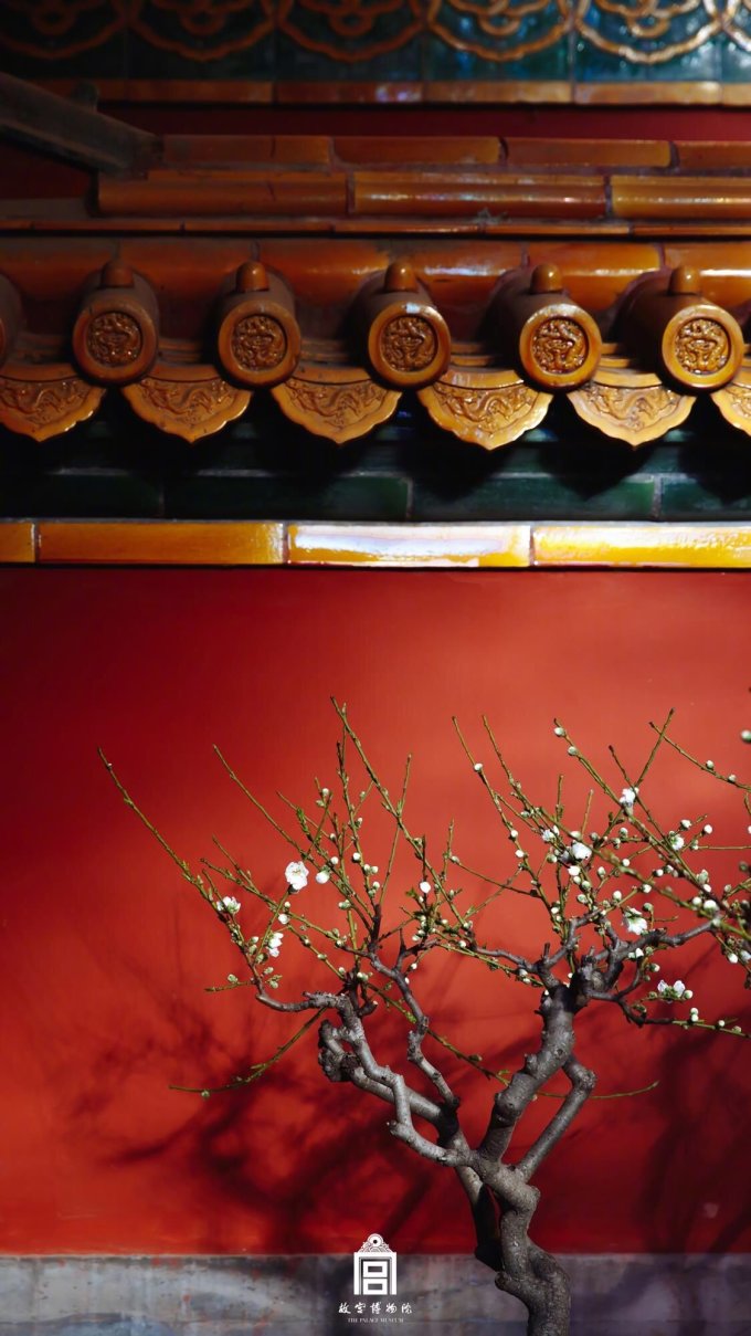 200张精选手机壁纸大放送！教你去哪找超赞壁纸~（多图慎入！）