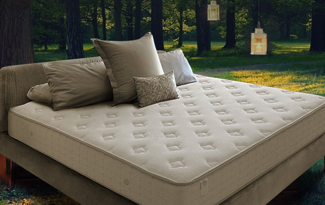 金可儿床垫，以最佳的性价比带来最豪华的五星级睡眠