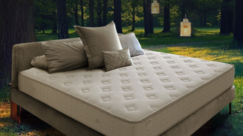 金可儿床垫，以最佳的性价比带来最豪华的五星级睡眠