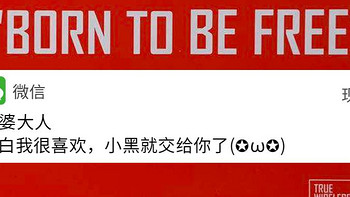 被老婆用AirPods换下来的备胎好不好用？Havit 海威特 G1 使用体验