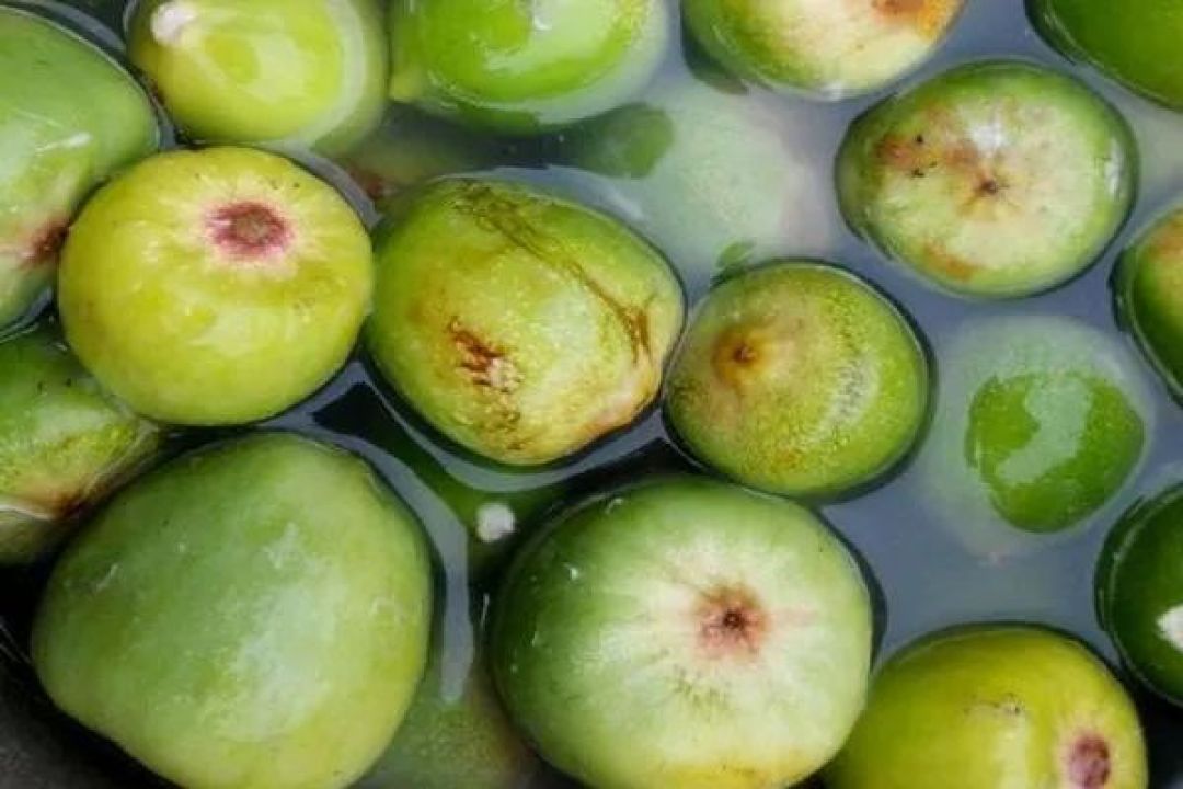 全国夏日饮品汇总，别再只喝奶茶了