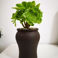 智能新风新体验 airmx新风机