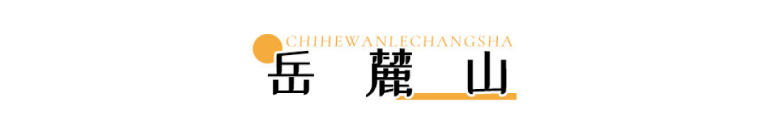 长沙新民路，口味牛蛙、爆炒肥肠、蒜香排骨...这7家店的美食赞不绝口！