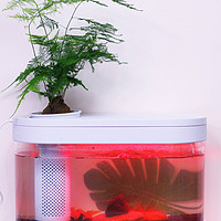 一个鱼缸一条龙，灯光制氧循环排水统统搞定之  “画法几何”鱼缸使用记