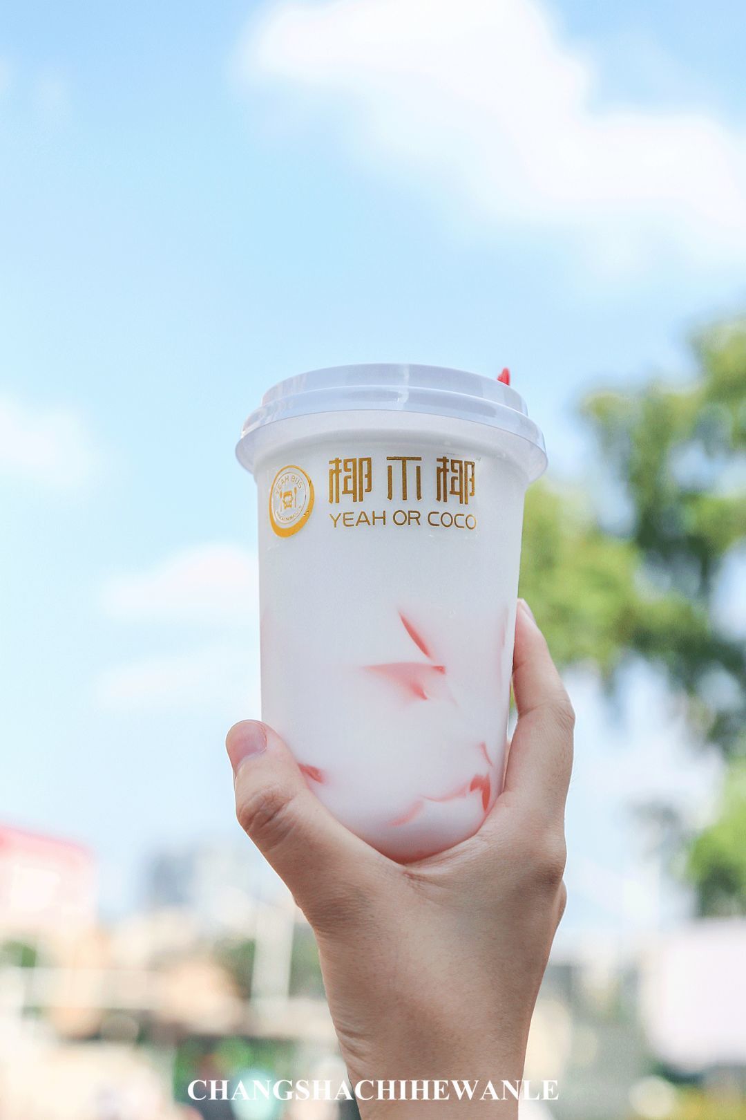 夏天来啦！盘点10家少女心炸裂的西瓜美食