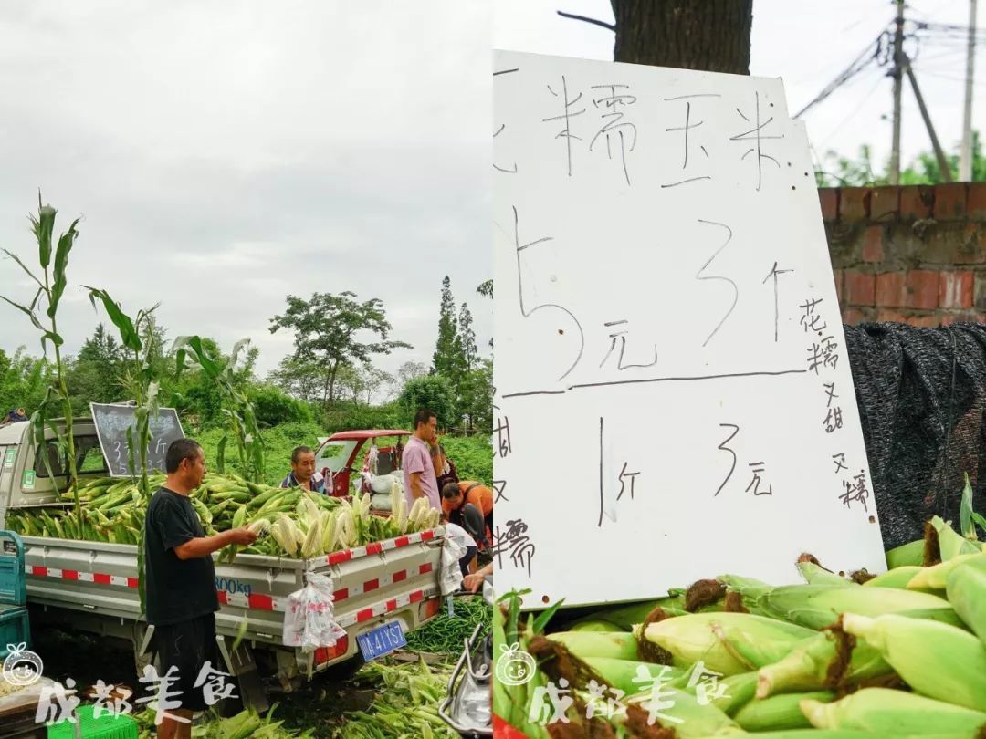 神店扎堆的马家场,只为火锅兔肥肠粉跑一趟,太亏了吧!