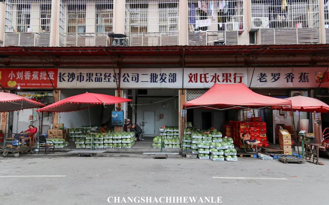 走遍长沙水果批发市场！最便宜的水果，原来都在这！