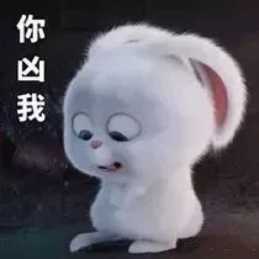 你能找到比它还萌的,算我输