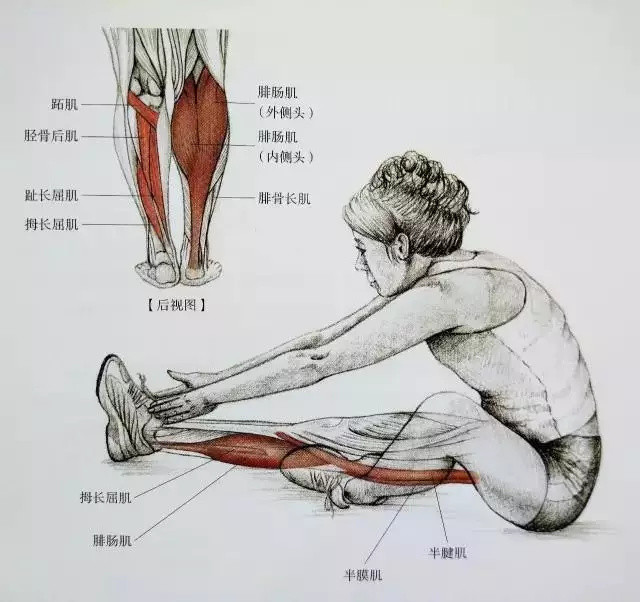 19个小腿拉伸动作，告别粗壮小腿